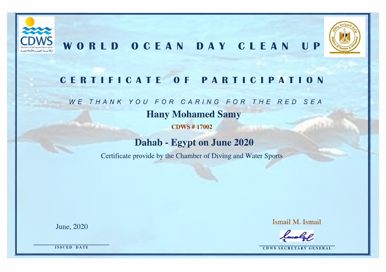 World Ocean Day certificate